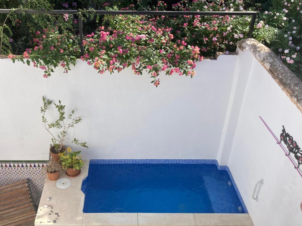 Apartamento Casa Clemente 32, Private House With Plunge Pool Málaga Exterior foto