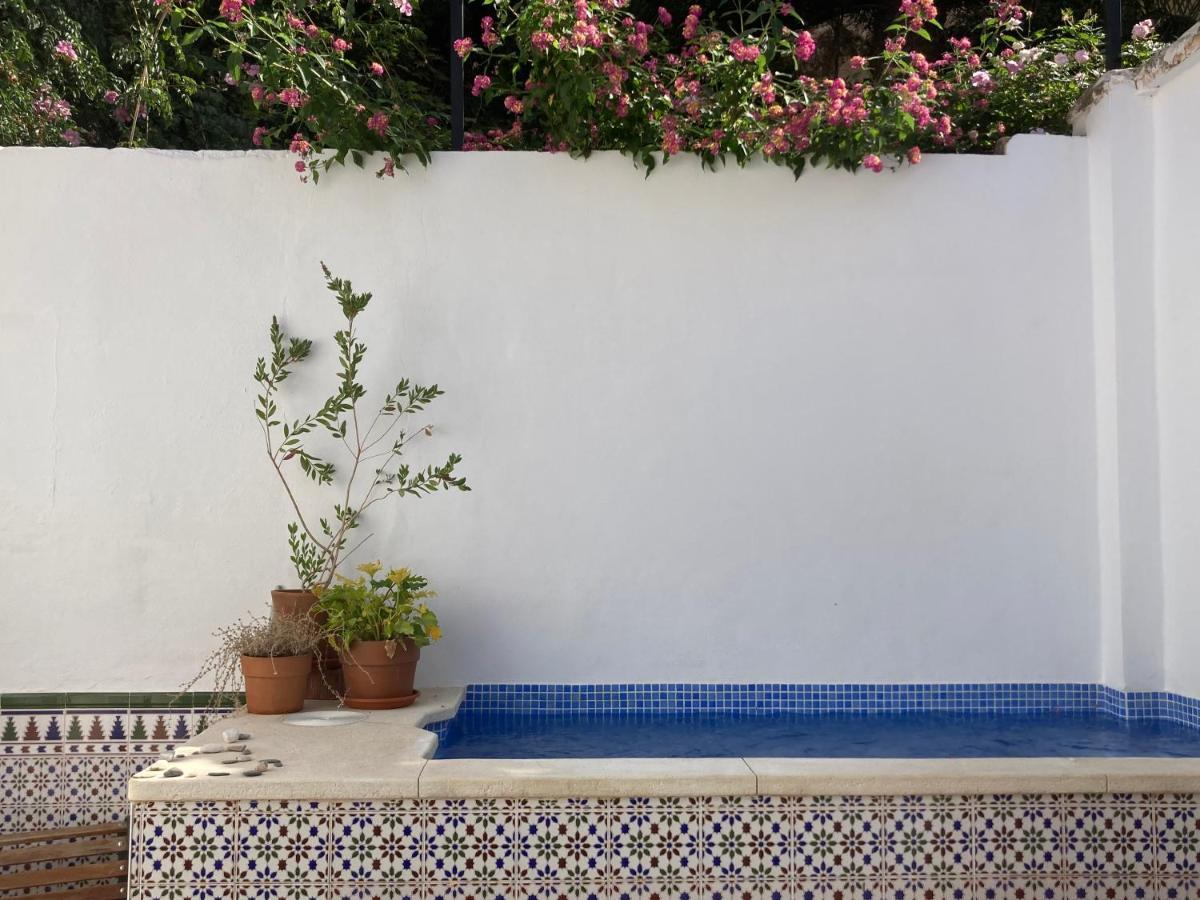Apartamento Casa Clemente 32, Private House With Plunge Pool Málaga Exterior foto